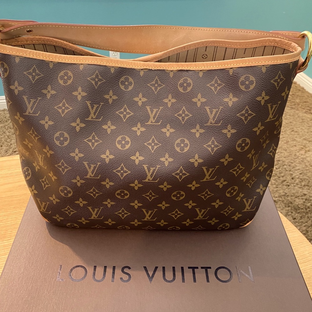 Louis Vuitton Delightful PM Handbag